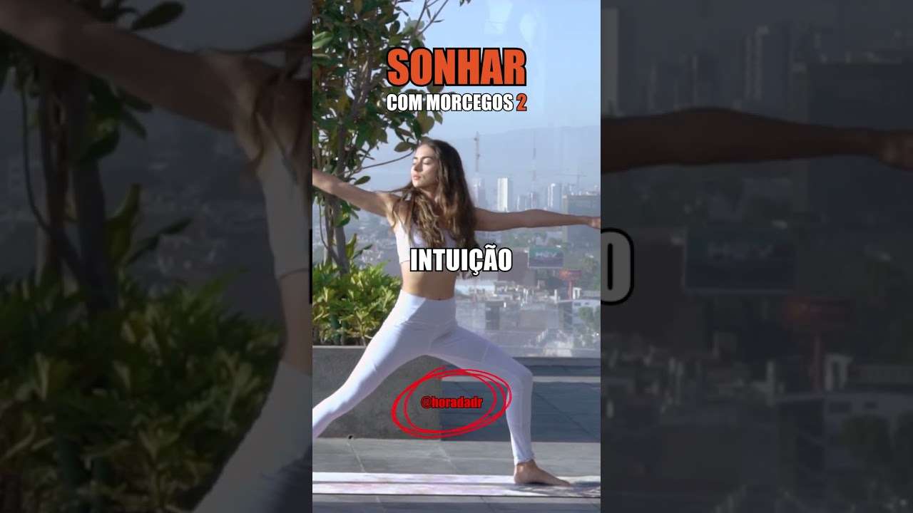 Sonhar com MORCEGOS 2 | Decifre seus sonhos